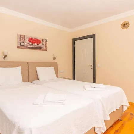 Doga Manzarali Kiralik Villa